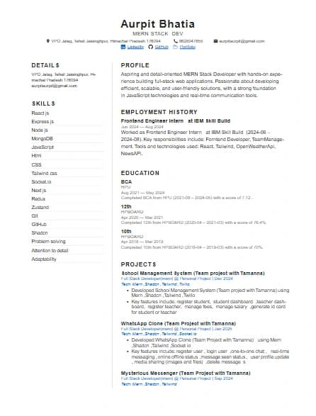 Minimalist resume template preview
