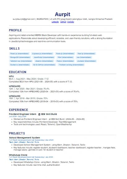Classic Professional resume template