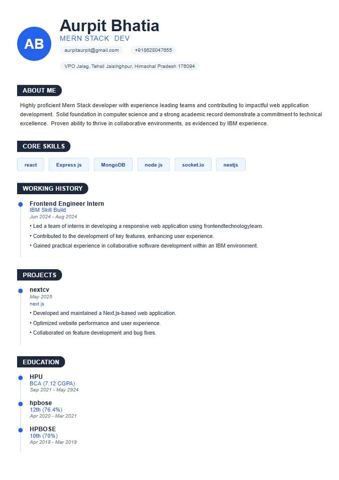 Infographic Lite resume template