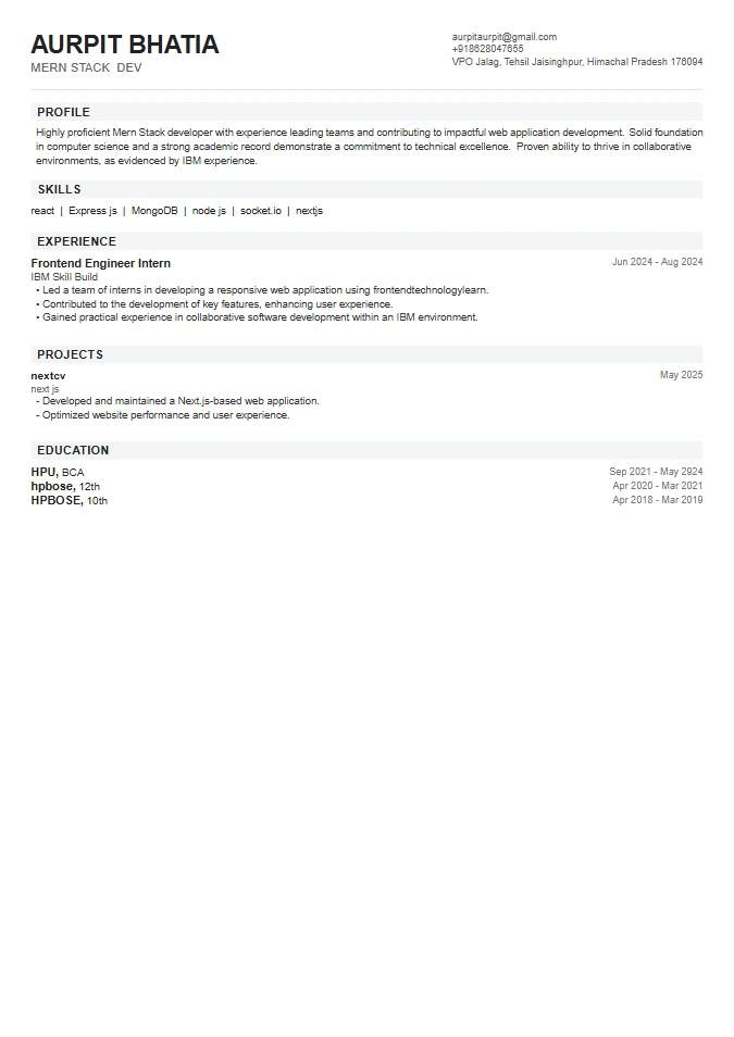 Compact Modern Resume Template
