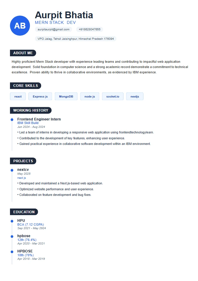 Infographic Lite Resume Template
