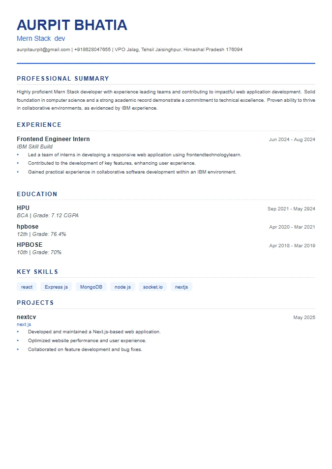 Professional Clean Resume Template