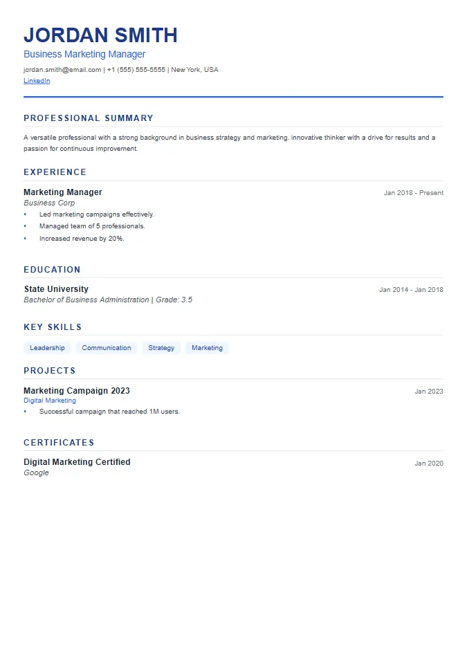 Professional resume layout preview